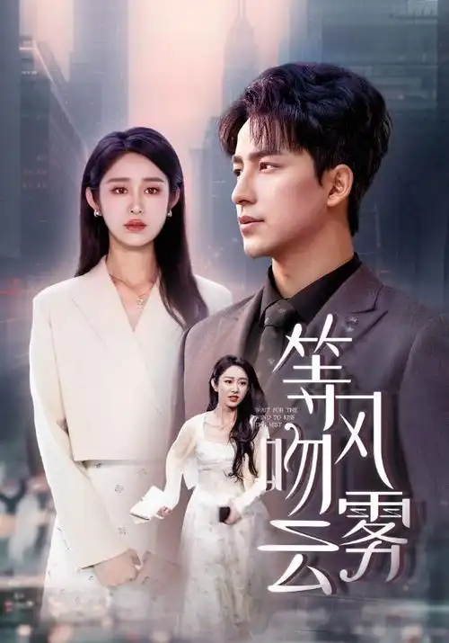 长夜回声 热播电视剧全集手机免费在线观看